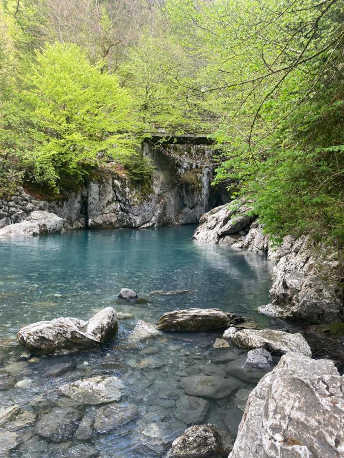 Appartement Rez-De-Chaussee, Cosy T3 4 A 6 Pers Avec Piscines Interieure & Exterieure A Samoens En Haute-Savoie Buitenkant foto