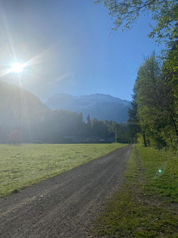 Appartement Rez-De-Chaussee, Cosy T3 4 A 6 Pers Avec Piscines Interieure & Exterieure A Samoens En Haute-Savoie Buitenkant foto